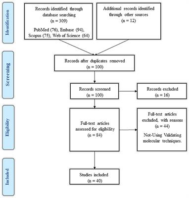 Competing endogenous RNA (ceRNA) networks in Parkinson's disease: A systematic review